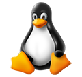 Linux Windows-on: Windows Subsystem for Linux