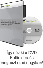 Tanulj hatkonyan oktat videval: Flash